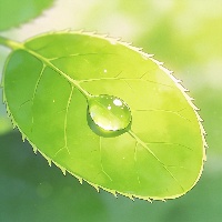 王*硕